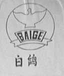 白鸽