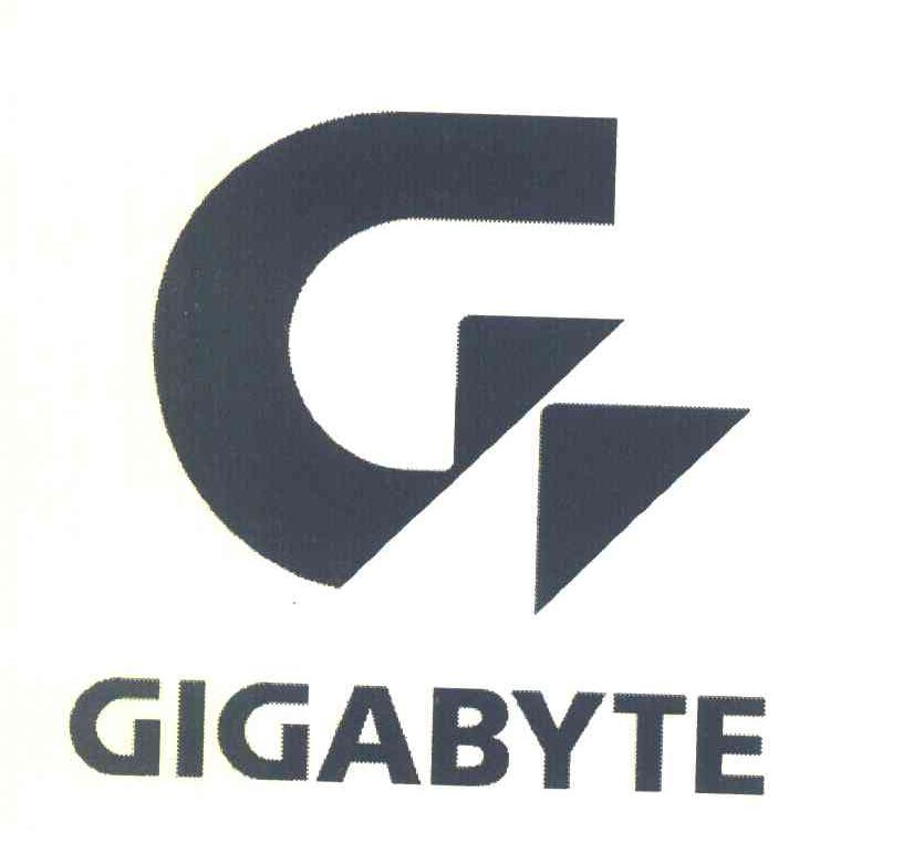 GIGABYT G