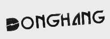 DONG HANG