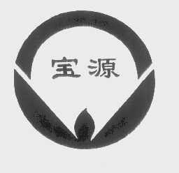 宝源