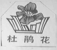 杜鹃花