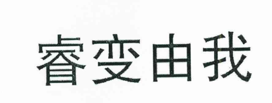 睿变由我