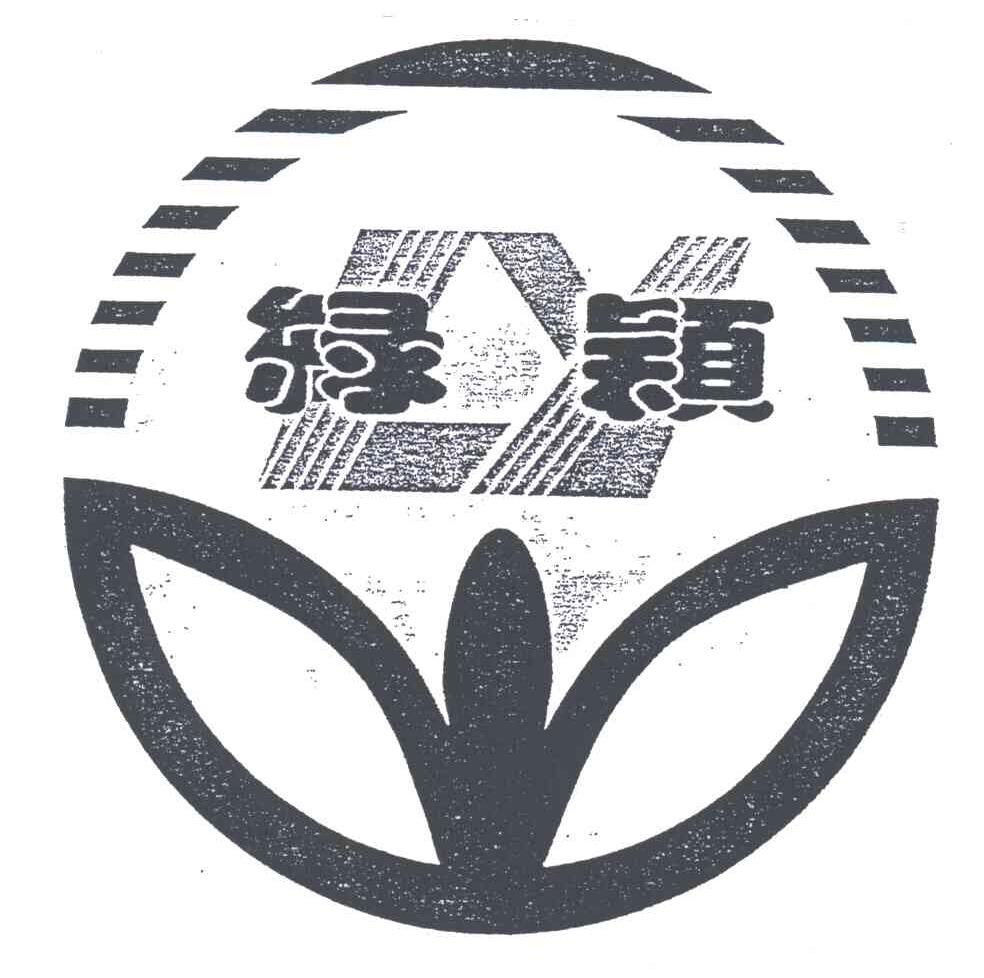 绿颖