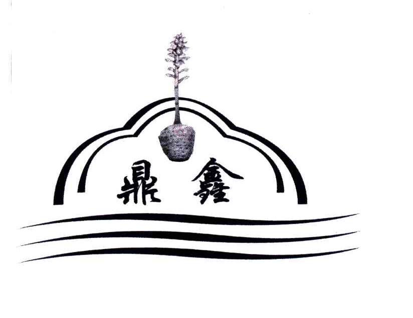 鼎鑫