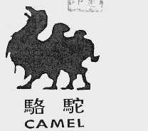 骆驼  CAMEL