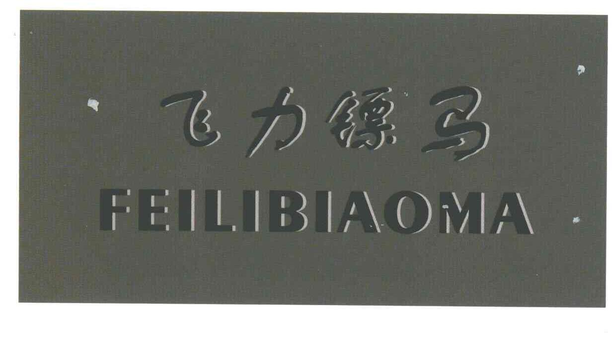 飞力镖马