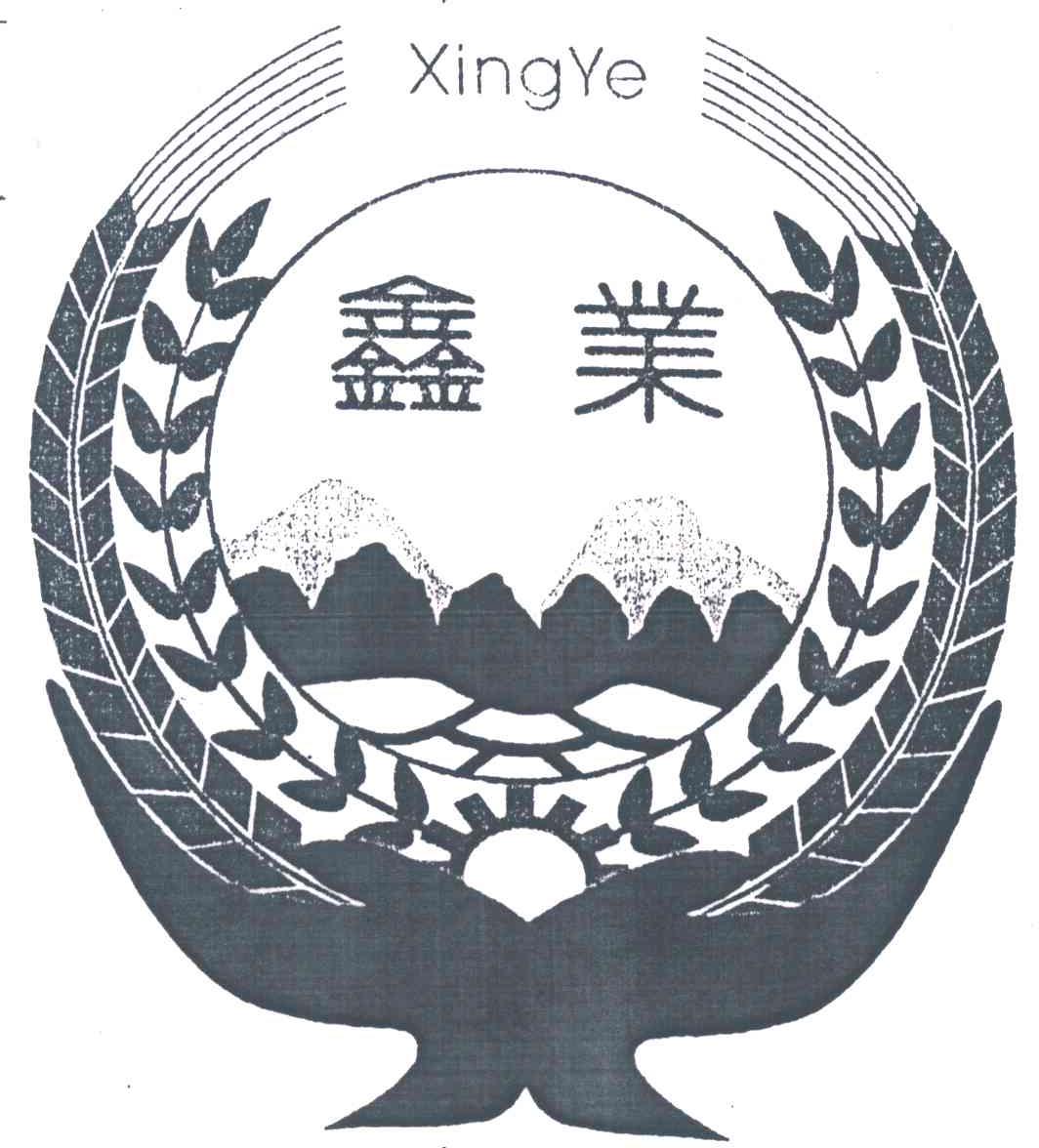 鑫业;XINGYE