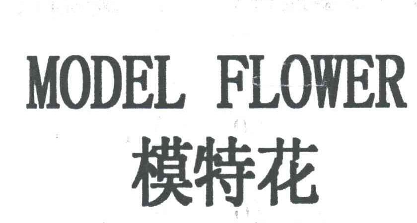 模特花