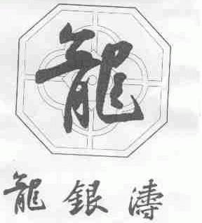 龙银涛