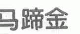马蹄金