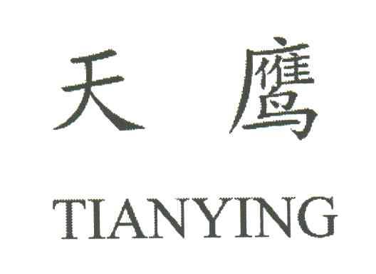 天鹰TIANYING