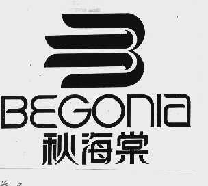 秋海棠  BEGONIA