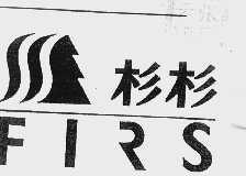 杉杉    FIRS