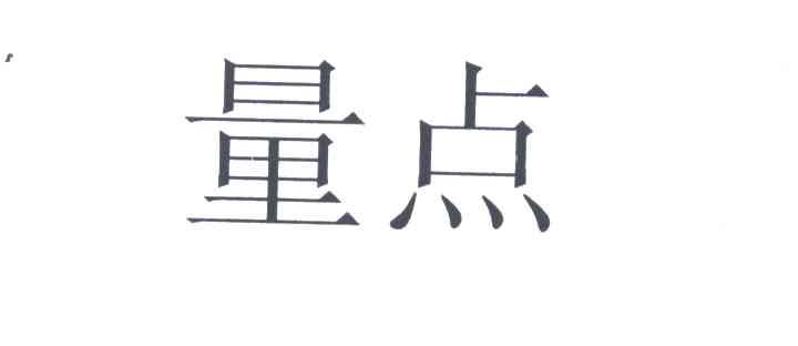 量点