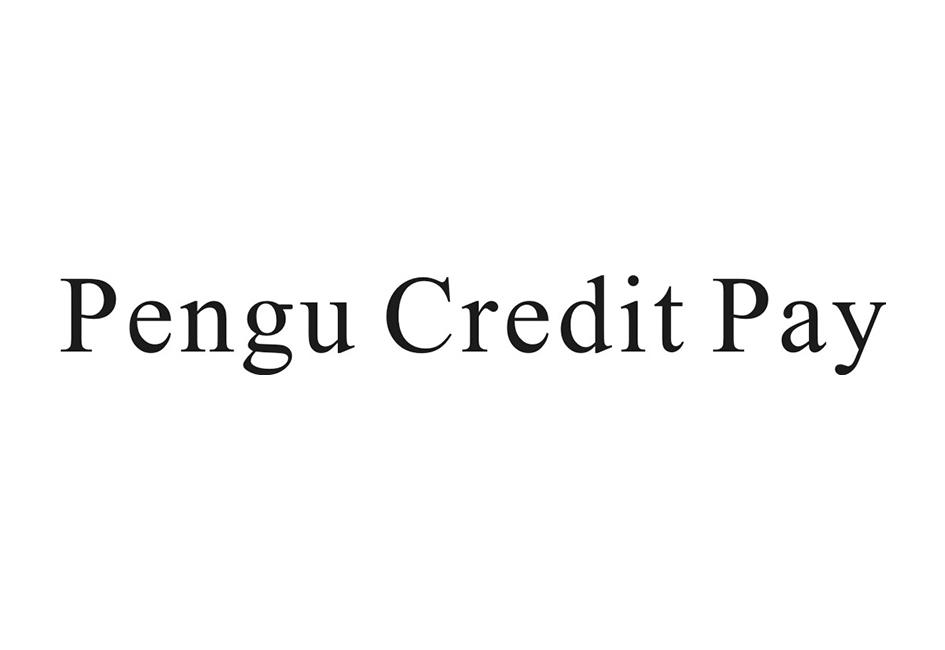 PENGU CREDIT PAY