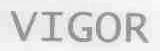 VIGOR