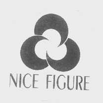 NICE FIGURE