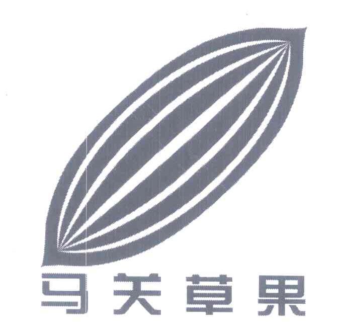 马关草果