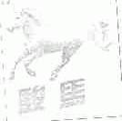骏马