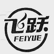 飞跃
