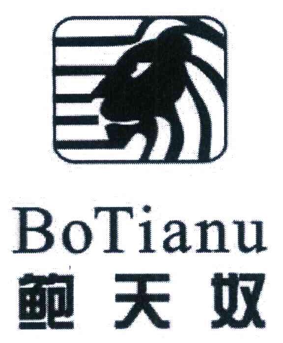 鲍天奴 BOTIANU