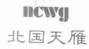 北国天雁;NCWG
