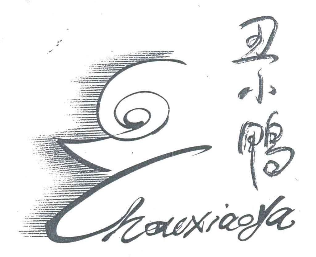 丑小鸭