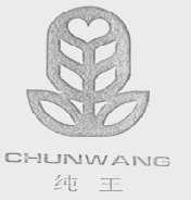 纯王