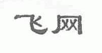 飞网