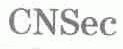 CNSEC