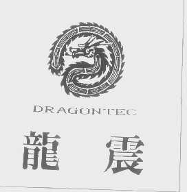 龙震   DRAGONTEC