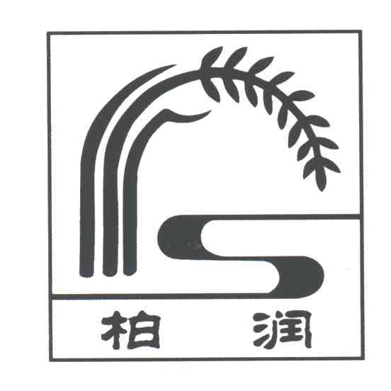 柏润