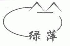 绿萍