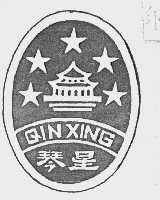 琴星
