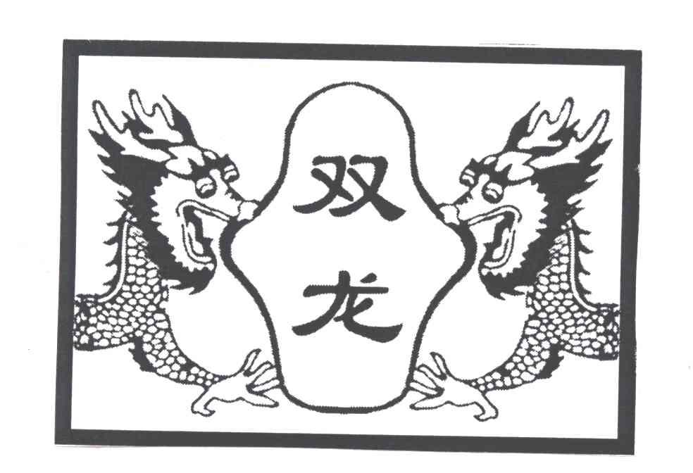 双龙