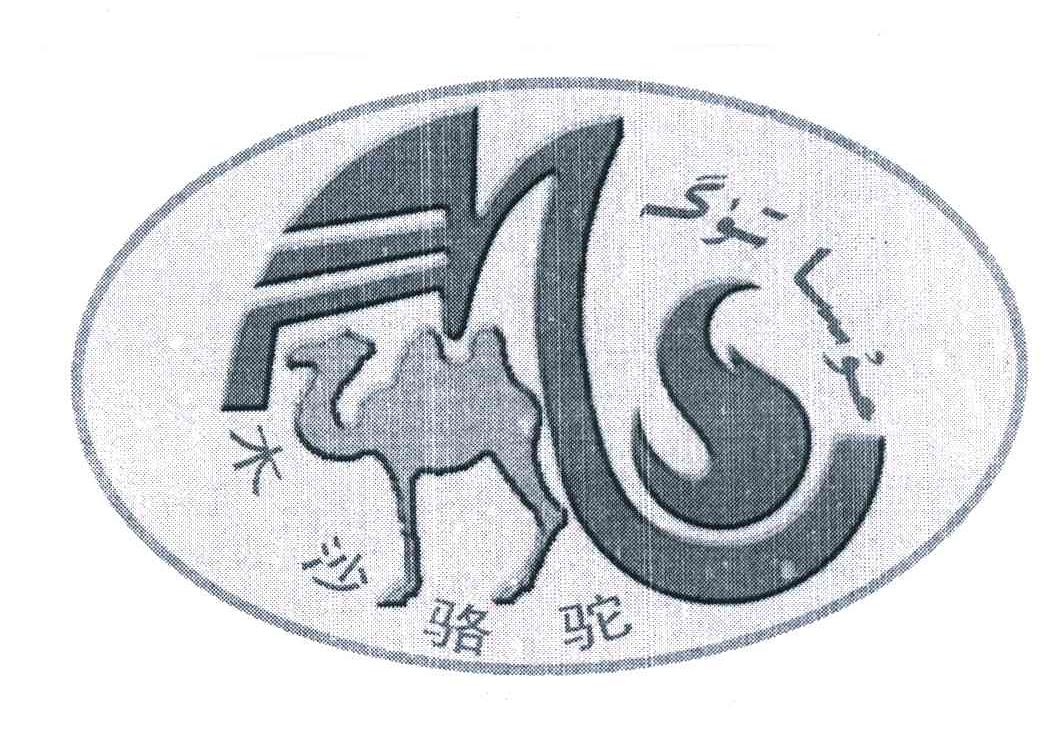 木沙骆驼