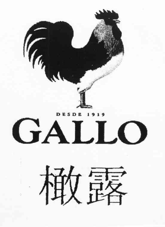 橄露 GALLO DESDE 1919