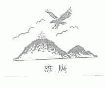 雄鹰