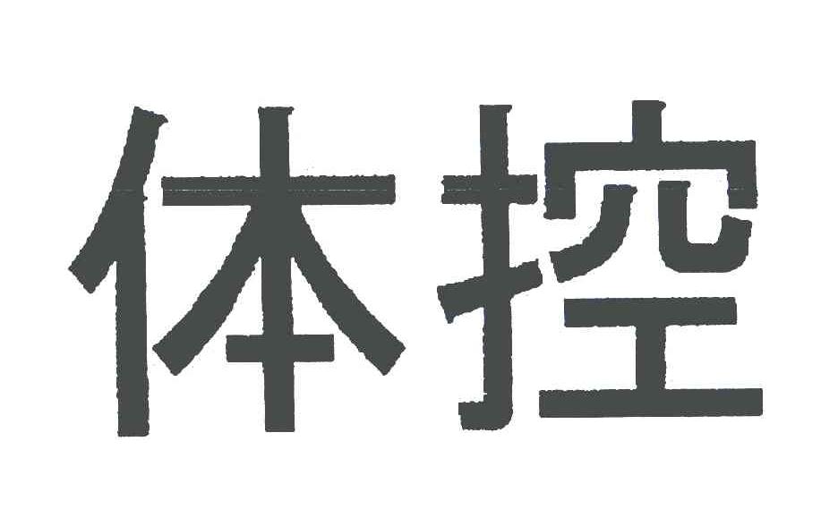 体控