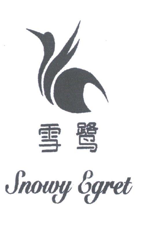雪鹭;SNOWY EGRET