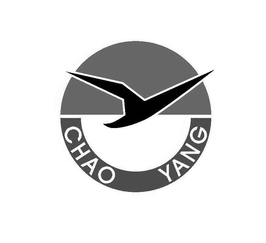 CHAO YANG