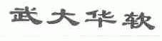 武大华软