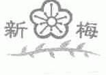新梅