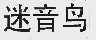 迷音鸟