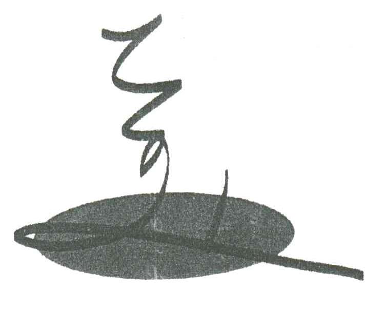 美