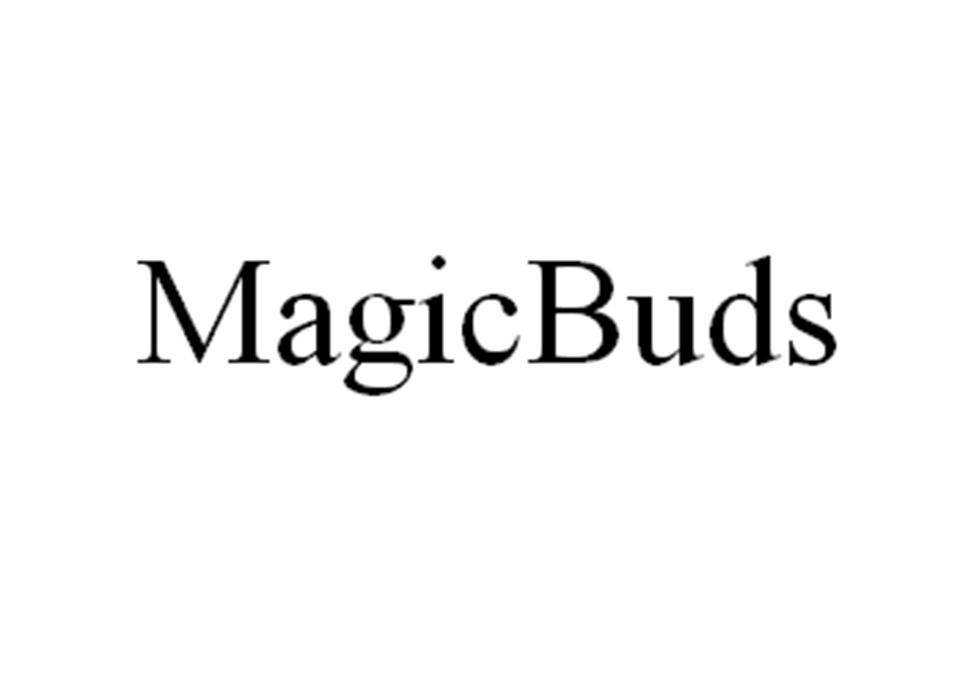 MAGICBUDS