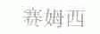 赛姆西