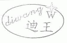 迪王
