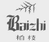 柏枝