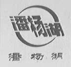 潘杨湖